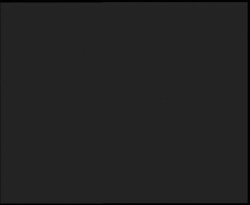 Nástup na běžecké tratě