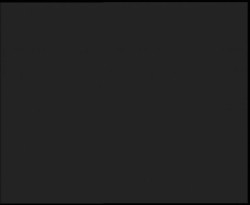 Nástup na běžecké tratě