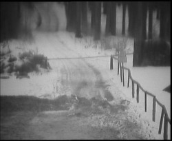 Nástup na běžecké tratě