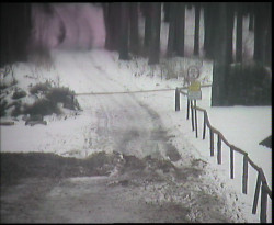 Nástup na běžecké tratě