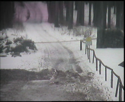 Nástup na běžecké tratě