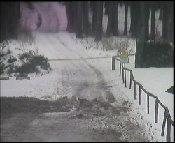 Nástup na běžecké tratě