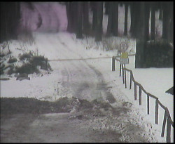 Nástup na běžecké tratě