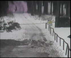 Nástup na běžecké tratě