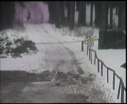 Nástup na běžecké tratě