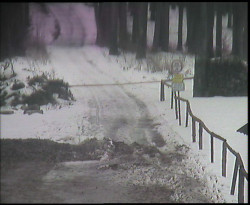 Nástup na běžecké tratě