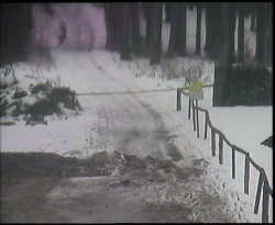 Nástup na běžecké tratě