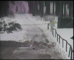 Nástup na běžecké tratě