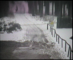 Nástup na běžecké tratě