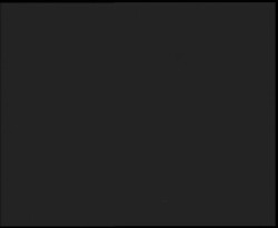 Nástup na běžecké tratě