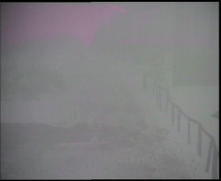 Nástup na běžecké tratě