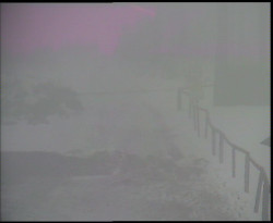 Nástup na běžecké tratě