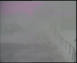 Nástup na běžecké tratě