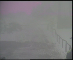 Nástup na běžecké tratě