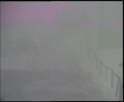 Nástup na běžecké tratě