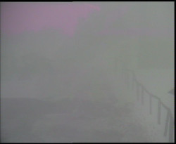 Nástup na běžecké tratě