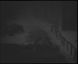 Nástup na běžecké tratě