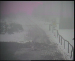 Nástup na běžecké tratě