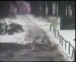 Nástup na běžecké tratě