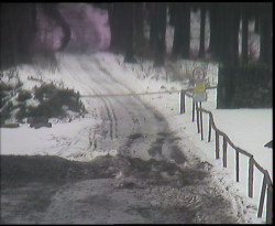 Nástup na běžecké tratě