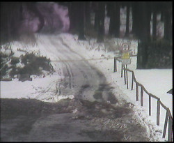 Nástup na běžecké tratě