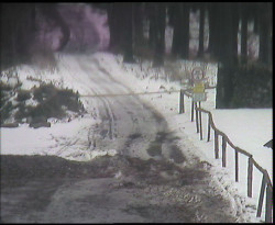 Nástup na běžecké tratě