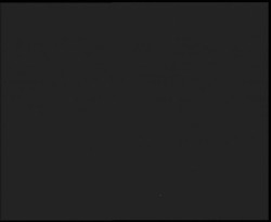 Nástup na běžecké tratě