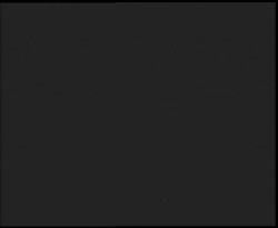 Nástup na běžecké tratě