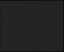 Nástup na běžecké tratě