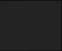 Nástup na běžecké tratě