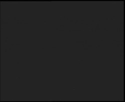 Nástup na běžecké tratě