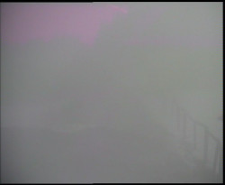 Nástup na běžecké tratě