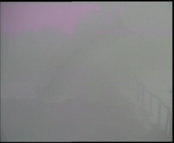 Nástup na běžecké tratě