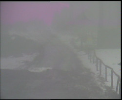 Nástup na běžecké tratě