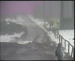 Nástup na běžecké tratě