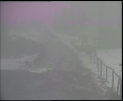 Nástup na běžecké tratě