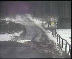 Nástup na běžecké tratě