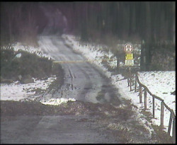 Nástup na běžecké tratě