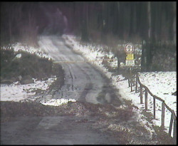 Nástup na běžecké tratě