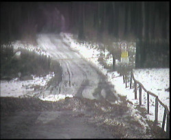 Nástup na běžecké tratě