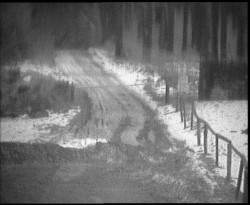 Nástup na běžecké tratě