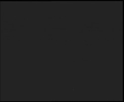 Nástup na běžecké tratě