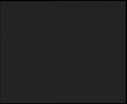 Nástup na běžecké tratě