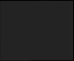 Nástup na běžecké tratě