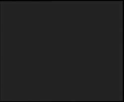 Nástup na běžecké tratě