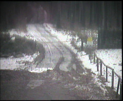 Nástup na běžecké tratě