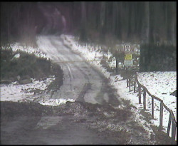 Nástup na běžecké tratě