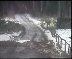 Nástup na běžecké tratě