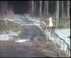 Nástup na běžecké tratě