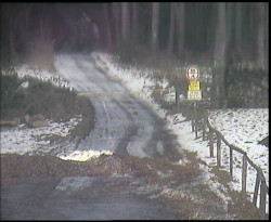 Nástup na běžecké tratě